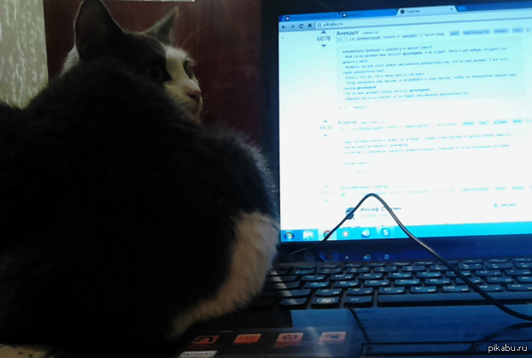 � �� ���� ��� ��, ��� ���������. � �� ���� � ����� ����� �� ����������.