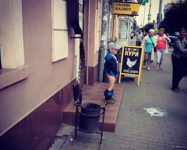 �� ���� ����������