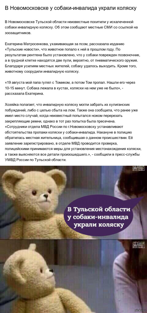 Обокрали собаку-инвалида