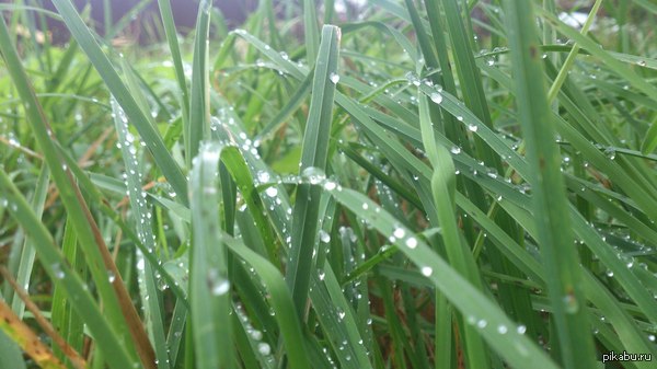 �������� ������ ��������� � ������ ���������� �������