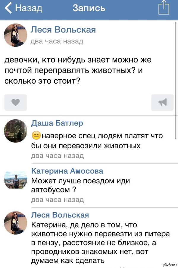 О чем размышляют дамы на стене Алены Шишковой.