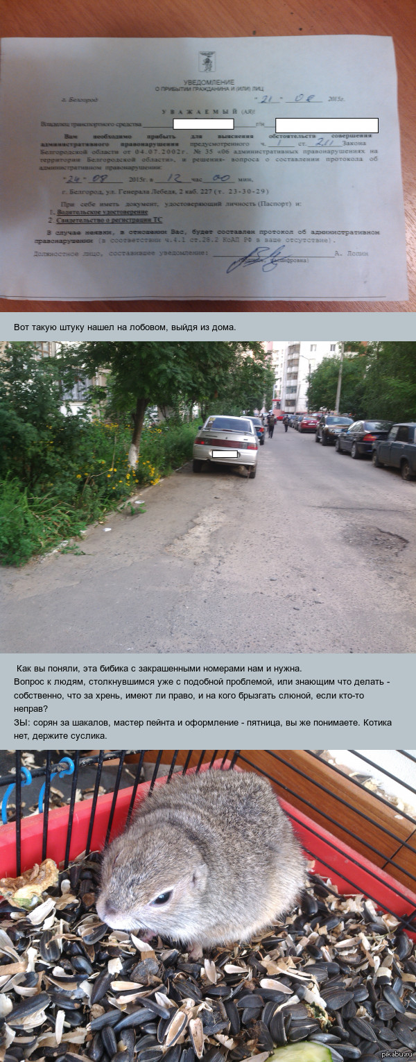 Как бороться с администрацией или вопросов пост о пятничном мое