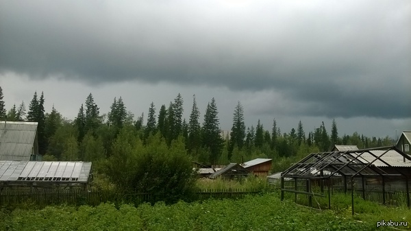 ���� ������ ���