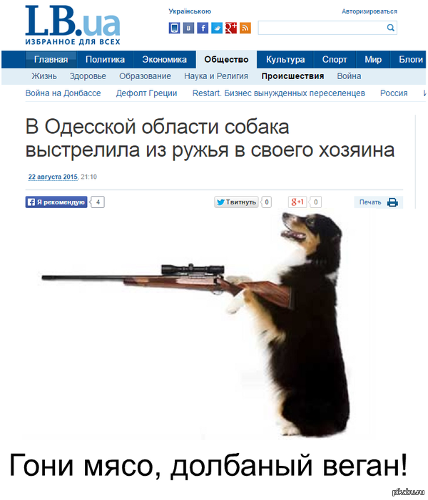 Вот что бывает, если собаку не кормить) | Пикабу