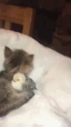    :)