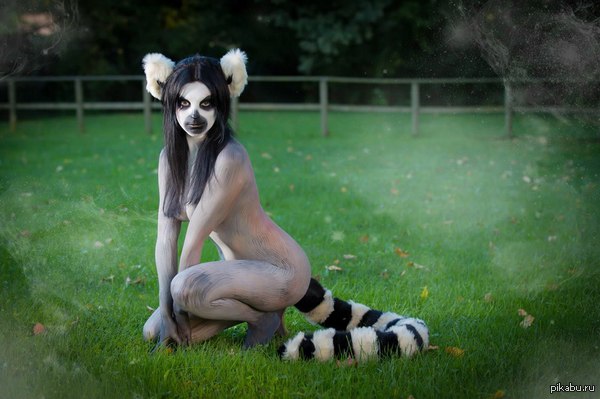 Adult Madagascar part 2