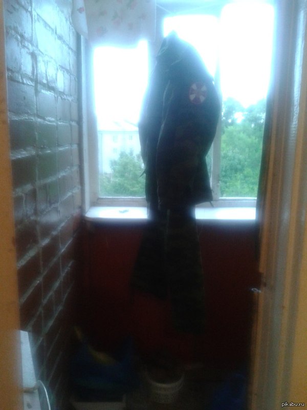 ���� �������� - ���� ����������