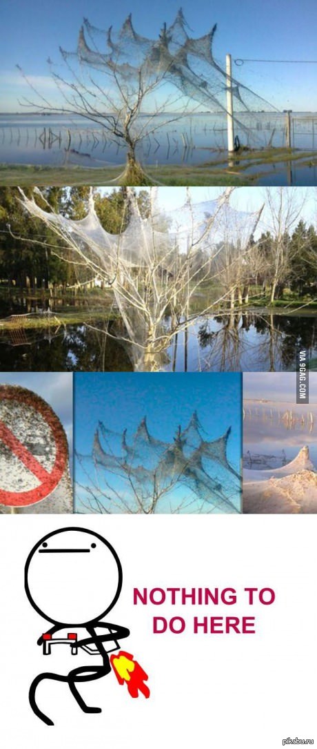 ��������� ������ � ���������