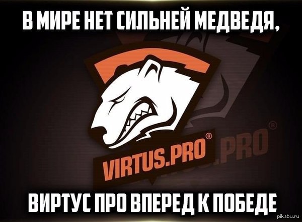 Virtus.pro         fnatic