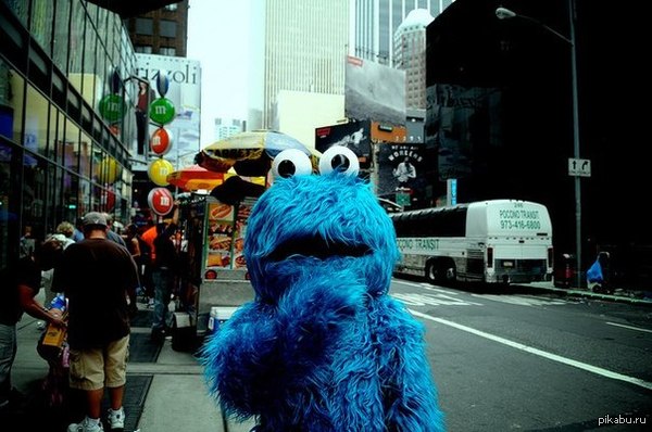 ����� � �������� ����������� ���������� ��������