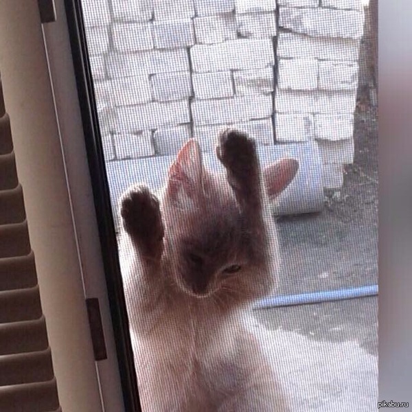 ��� ������, ����� �� ������ ���� �������� �����-�� ������ �����