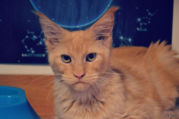 ���, �� ������ ������!