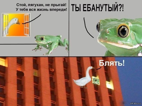 Бывает:) | Пикабу