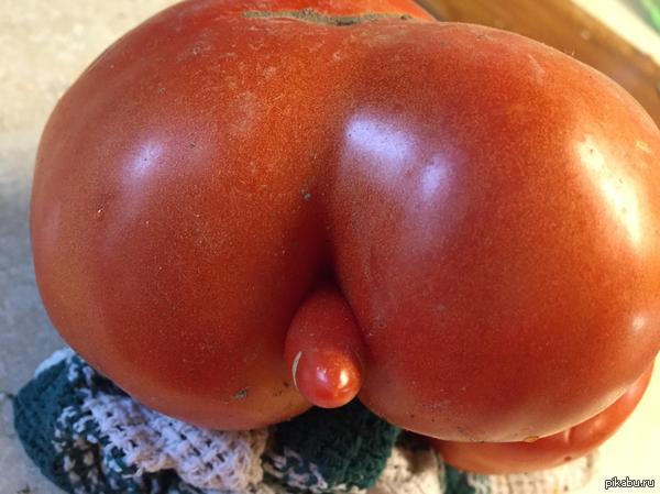 Нет это помидор