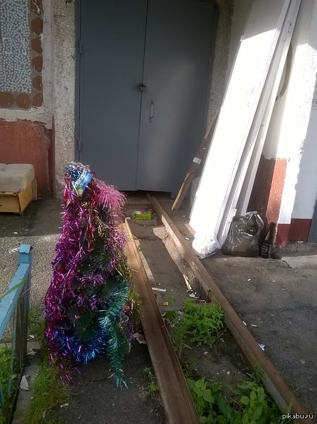 ������ 24