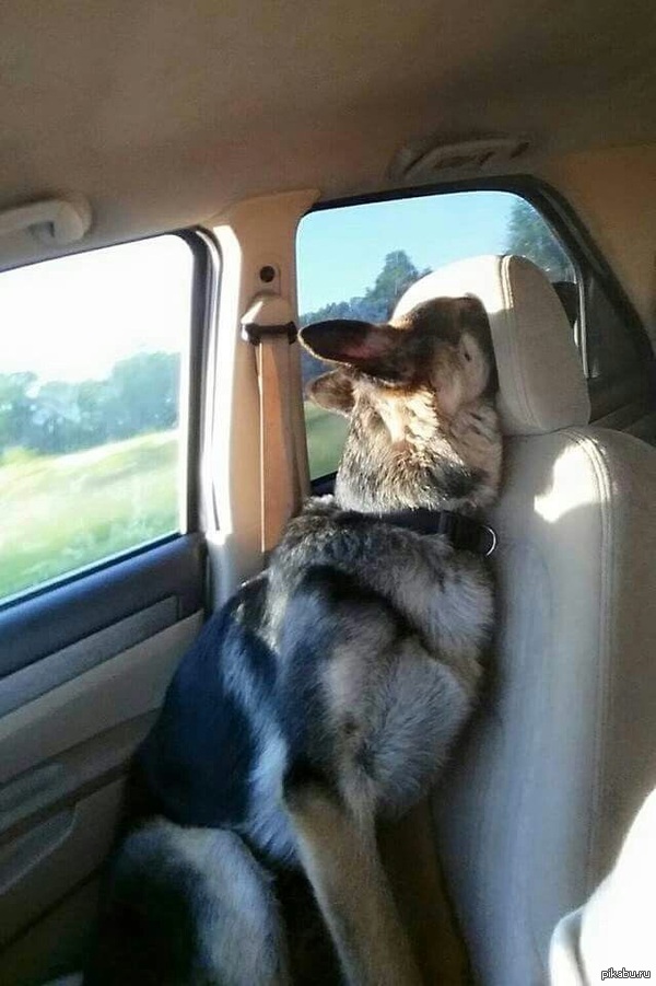 &quot;,       &quot;