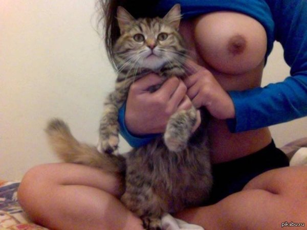 Nobody liked the previous post, so now there will be a cat and boobs - Boobs, cat, NSFW