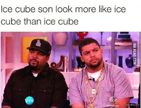   Ice Cube'   Ice Cube' ,   Ice Cube