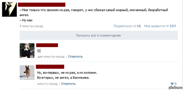    -,  ,    