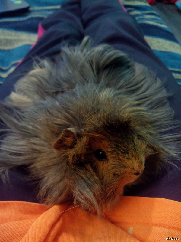 Фотогеничность 80lvl-а