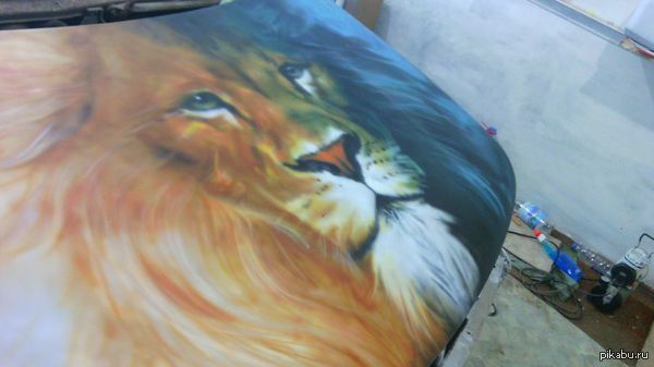 �������� ��� �����������