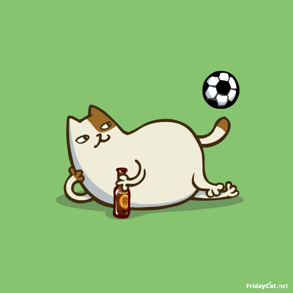Пятничный Котик №16