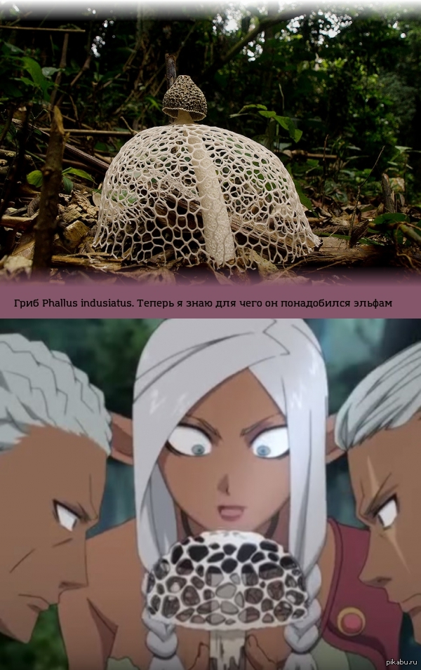 ��� ��������� ����� ������, ��� � ������ ������