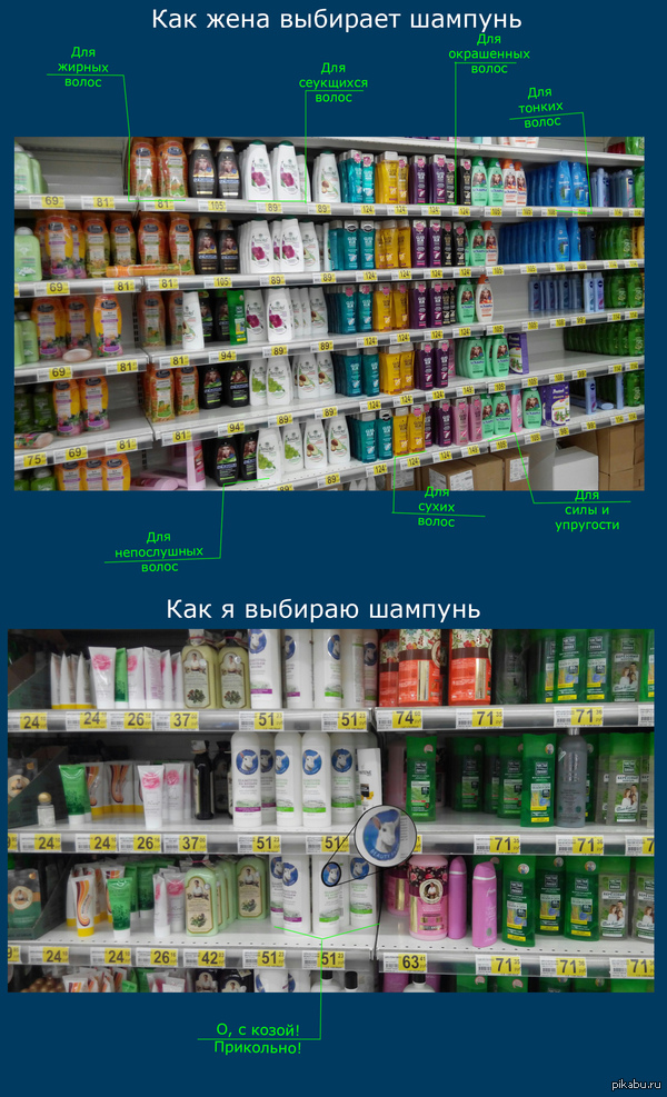 ��� ���� ������� ����� ��������� � ���������.