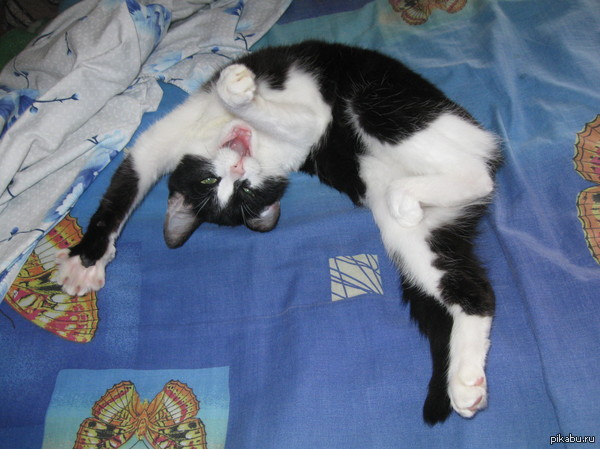 ���������� ���������! :-)