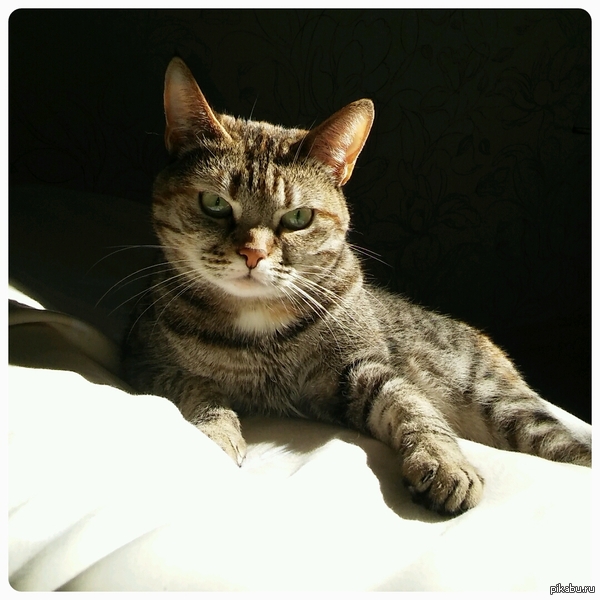 ���������! ���������� ����!