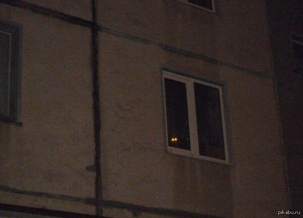 За вами установлена слежка №2