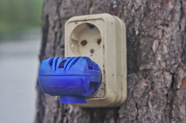 Я у мамы..сами знаете кто-то