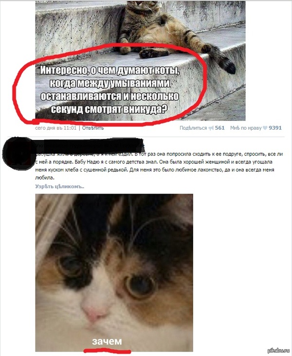 Совпадение