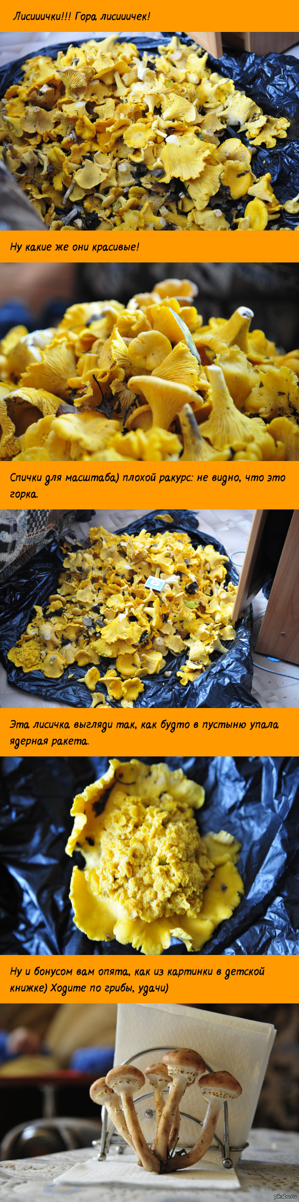 Короче говоря, сходил я за грибами