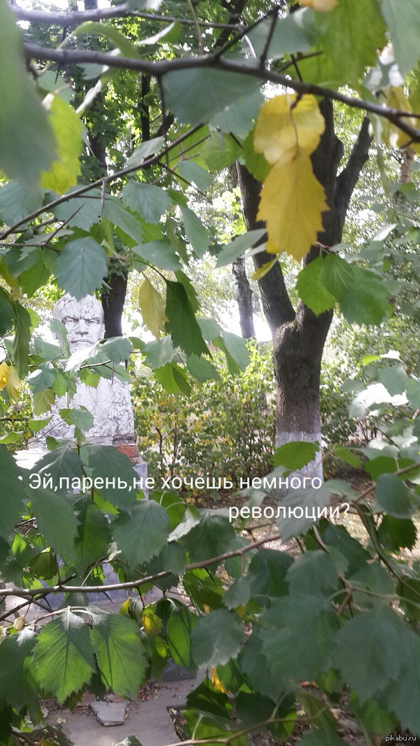 ����, �����