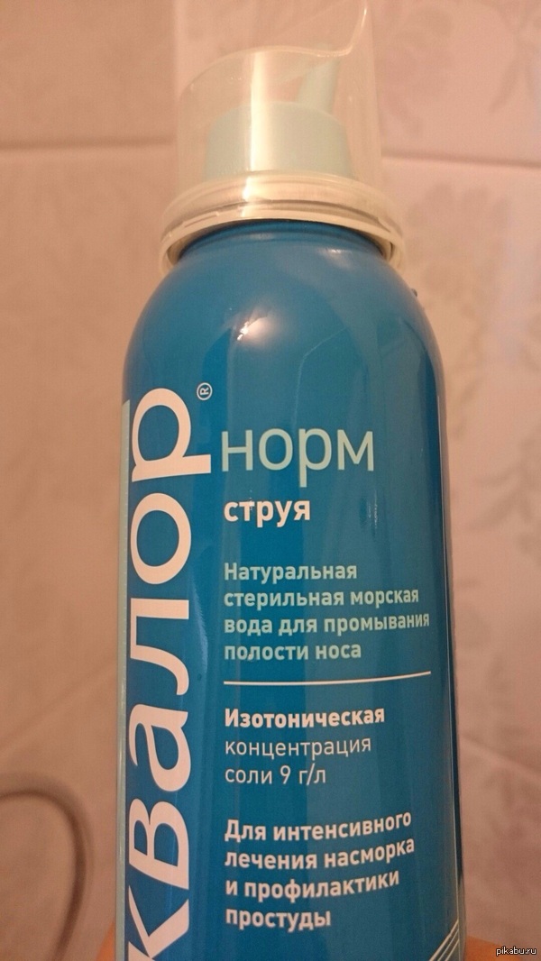 ���� ����� �����