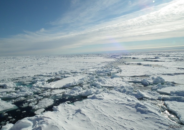 ��� � ����