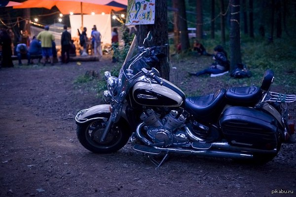 ������, ������ �������� 30.08.2015, ���������-��������.