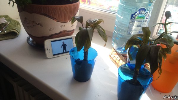 ���� ����� ���������� �������������� �� �������