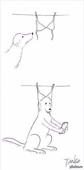 � ����! ��������)