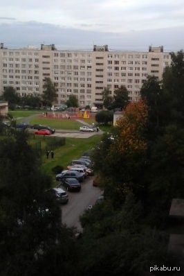 Ещё вчера было зеленым. Осень пришла по расписанию...