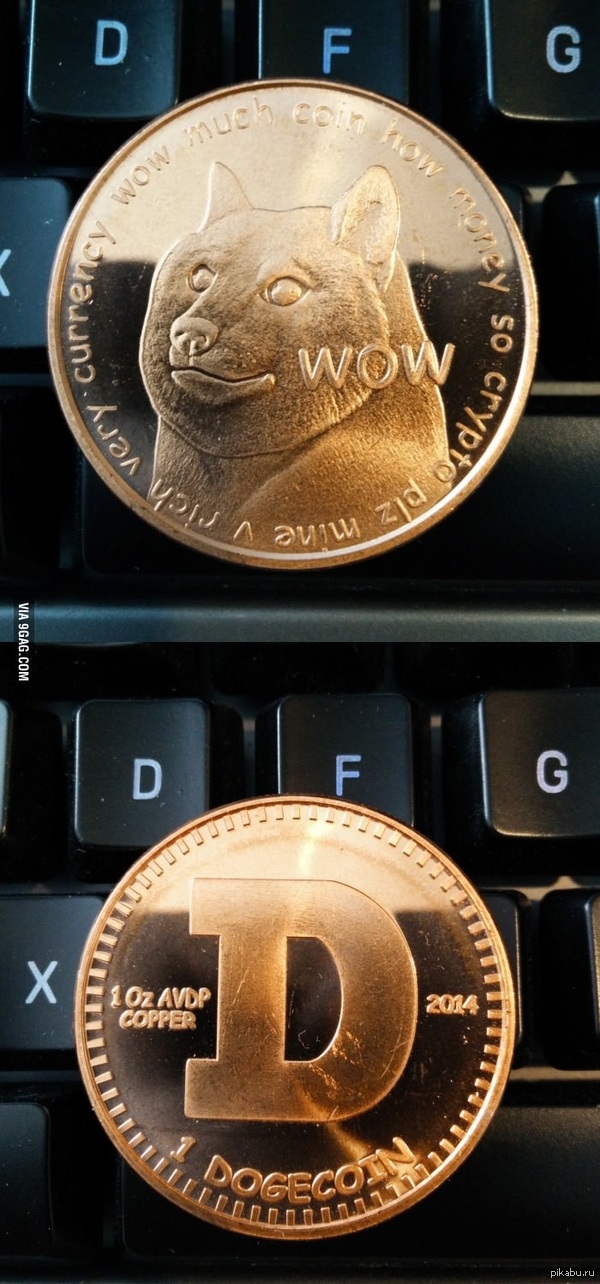 Dogecoin wow so coin very doge