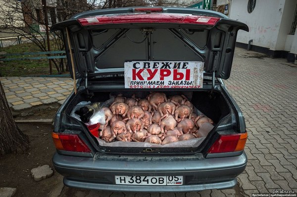 как в махачкале торгуют