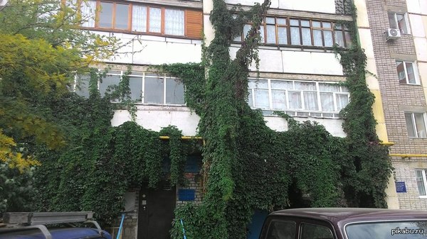 ������� ���������� ����������� ����������