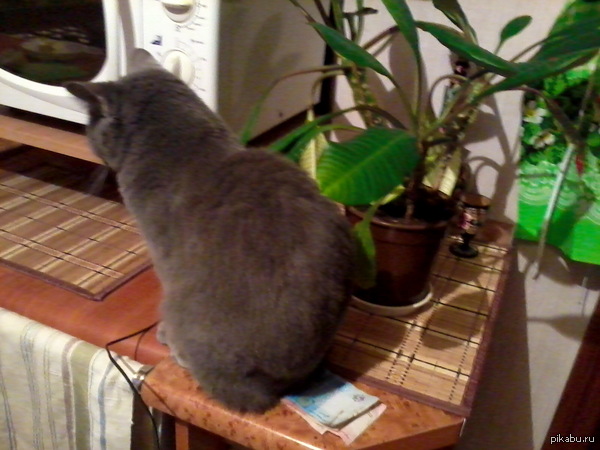 ������, ��� ���� �� �������� �����....