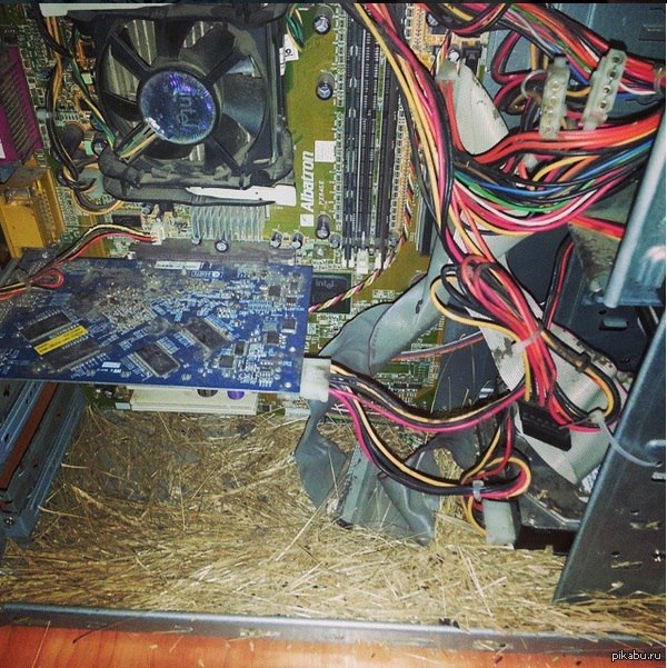 Такие дела | Пикабу