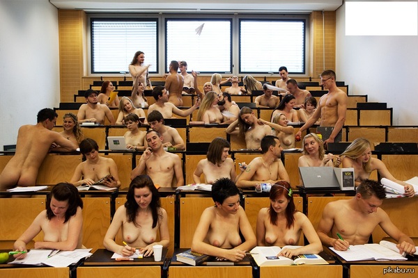 University. - NSFW, University, Knowledge