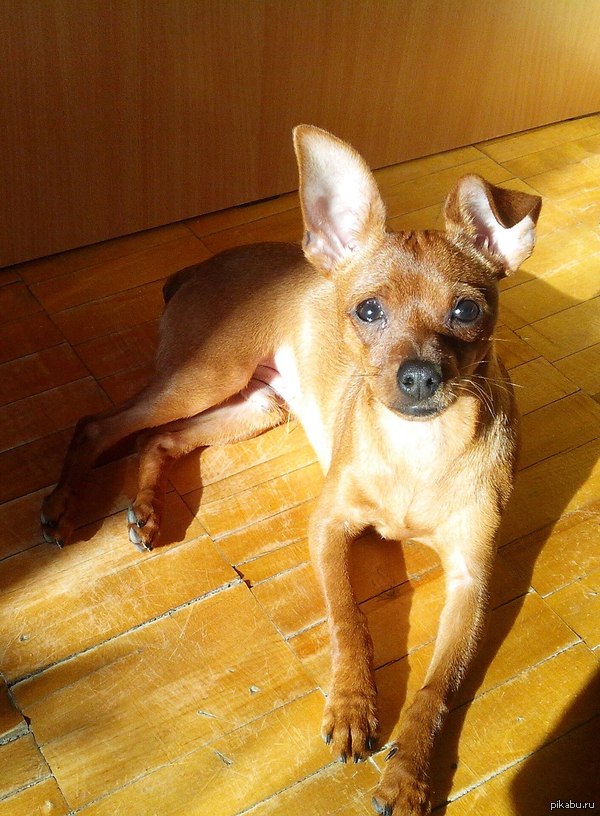 ����� ������� ����������!