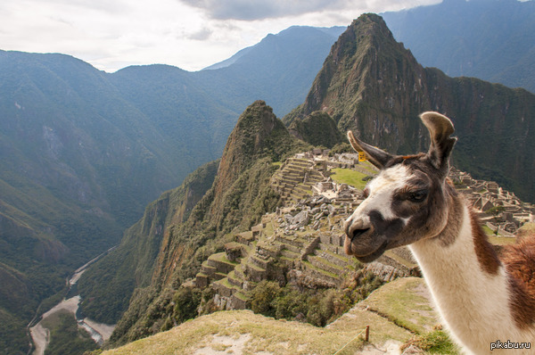 "Я думал, что снимок не может быть лучше, как вдруг..."