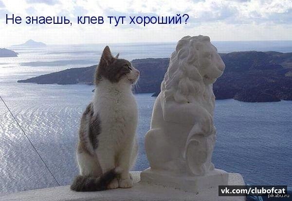 �� �������